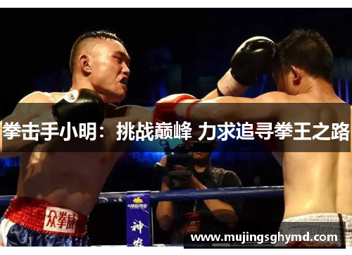 拳击手小明：挑战巅峰 力求追寻拳王之路